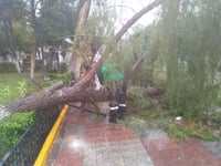 Imagen Un techo colapsado y vialidades inundadas por lluvias en Lerdo