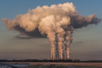 Imagen El cambio climático y la sanidad vegetal