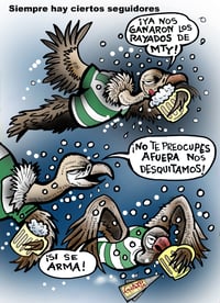 Cartón de Guayo.