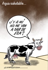 Cartón de Enríquez.