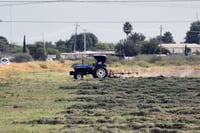 El tema del algodón resulta importante en función de la industria en esta ciudad y en el estado. (ARCHIVO)