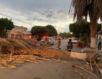 Se aproxima la temporada de tolvaneras en La Laguna. (CORTESÍA)