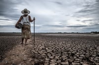 Imagen Matorrales y pastos capturan un 35 % menos de CO₂ cuando la sequía es extrema