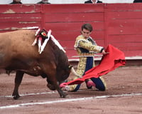 El matador torreonense estuvo a la altura de uno de los compromisos más grandes de su carrera, conquistó a sus paisanos que llenaron la plaza al grado de que se colgó el letrero de 'No hay billetes', generando un espectacular ambiente de fiesta y algarabía. (RAMÓN SOTOMAYOR)