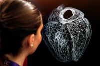 Imagen Un corazón 'gemelo virtual', réplica del real, para experimentar y predecir patologías
