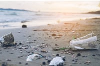 Imagen ¿Comemos el plástico que comen los peces? Sí, y también sus contaminantes