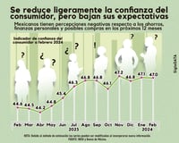 Imagen Se estanca confianza del consumidor en febrero