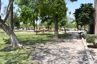 medio ambiente Torreón apenas tiene 4 metros de área verde por habitantes, ¿cuántos recomienda la ONU?