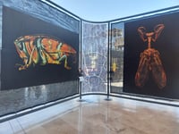 Imagen Invitan a la exposición de Insectus en el Museo del Acertijo