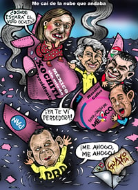 (CARTÓN DE GUAYO)