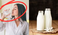 Imagen Harvard confirma si es recomendable beber leche en la adultez