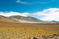 Imagen Desiertos de Latinoamérica: De Atacama a los desiertos de México