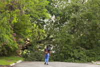 Imagen Así quedó Jamaica tras el paso del Huracán Beryl | FOTOS