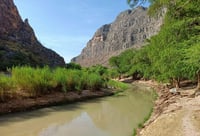 Imagen Reforestarán comunidades de la Reserva Ecológica Municipal Sierra y Cañón de Jimulco