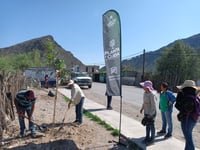 Imagen Día del Árbol: de cada 10 ejemplares que se plantan 3 no sobreviven