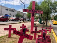 Imagen Zona Metropolitana de La Laguna supera la tasa nacional en feminicidio y violencia