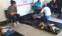 Imagen Atienden a 48 mascotas en campaña de esterilización en San Pedro