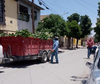 Poda de árboles en Lerdo.