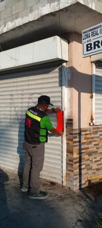 Clausuran restaurante de carnitas en Loma Real, había gatos y roedores en el interior, señalan autoridades.