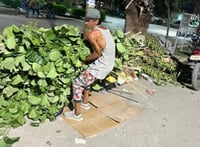 Se encontraba tirando basura en la plaza de la colonia El Dorado. (EL SIGLO DE TORREÓN)