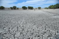 La sequía aún afecta al 40 por ciento del territorio nacional, señala el Servicio Meteorológico
Nacional. (ARCHIVO)