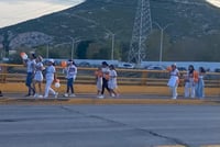 Imagen Grupo de personas protestan por caso de la perrita 'Mily' en Gómez Palacio