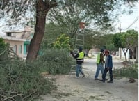 Imagen Realiza Ayuntamiento de Gómez Palacio mejoras en la colonia Villa Nápoles