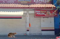 Establecimientos de pollo frito y a la leña del sector Alianza. (MA. ELENA HOLGUÍN)