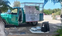 Imagen Suman casi 600 mascotas vacunadas en lo que va de agosto en el municipio de San Pedro