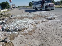 Imagen Vecinos de la colonia Nogales, de Gómez Palacio, piden el retiro de desechos de pollo arrojados a la vía pública