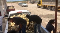 Imagen Aprueban recurso para retirar residuos de melón en parcelas de San Pedro