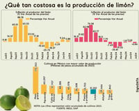 Imagen ¿Cómo ha fluctuado el precio del limón en México?