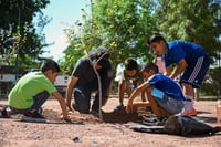 Imagen Con 14 mil árboles reforestan Lerdo