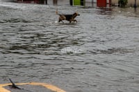 Ante el pronóstico de que continúen las lluvias, la recomendación
a la ciudadanía es que eviten en lo posible salir de casa. (EL SIGLO DE TORREÓN)