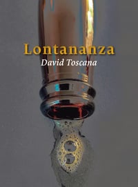 David Toscana / Lotananza.