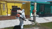 Imagen Coahuila acumula 914 casos de dengue; 163 están activos