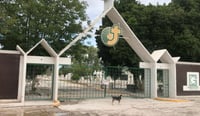 Imagen Clausuran el panteón Jardines del Carmen por encontrarse en zona de riesgo