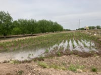 Imagen ¿Terminará huachicoleo de agua? Van por mediciones precisas sobre el consumo en los cultivos de la región