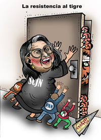 Cartón. (GUAYO)