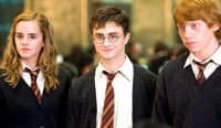 Imagen Así se verían los personajes de ‘Harry Potter’ si cumpliera con la descripción de los libros