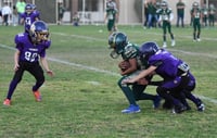 Varios emparrillados de la región, tendrán una intensa actividad en las categorías de infantiles de la AFAIL, en la que la mayoría de los equipos verán acción, buscando la victoria para sus respectivos colores. (Archivo)