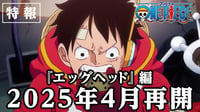 Imagen One Piece: No habrá anime hasta abril de 2025 ¿A qué se debe?