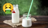 Imagen 3 signos de que la leche en tu refrigerador ya no es segura de beber