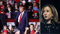 Imagen Kamala Harris llama a Donald Trump para reconocer su victoria