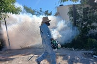 Imagen Vecinos de Matamoros se organizan para apoyar en fumigaciones contra el dengue