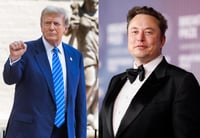 Imagen Donald Trump crea dependencia para Elon Musk