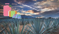 Imagen ¿Cuánto cuesta ir a la Ruta del Tequila desde La Laguna?