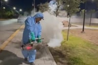 Imagen Monclova intensifica fumigaciones para prevenir brotes de dengue