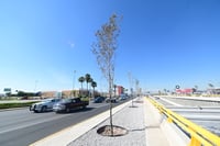 Imagen Pavimentación y drenaje; prioridades en la próxima administración de Torreón