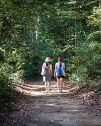 Realiza caminatas al aire libre para despejar la mente.